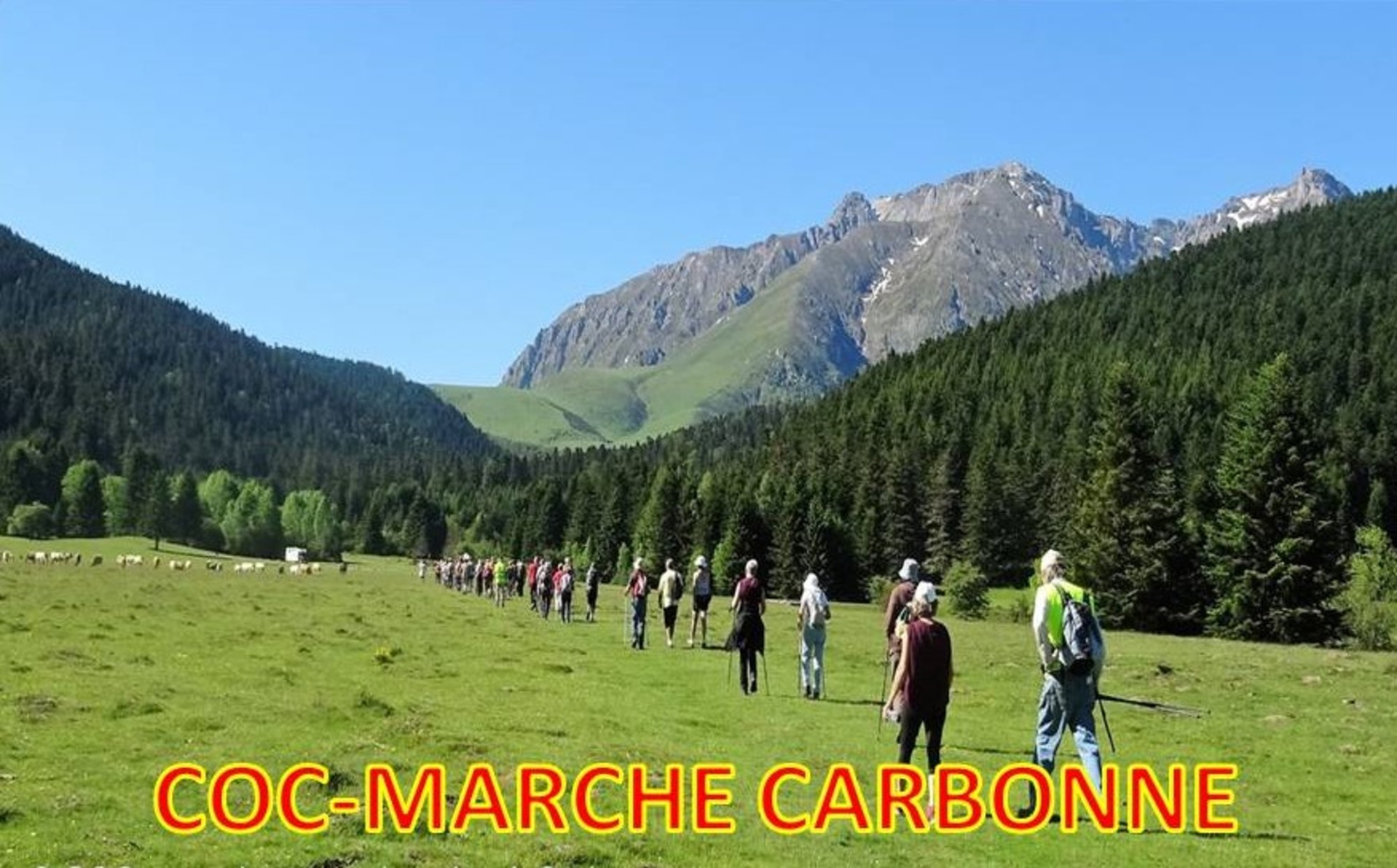 COC - marche et randonnées à Carbonne